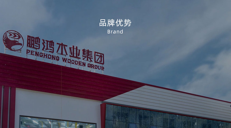 板材品牌、全屋定制品牌、生態(tài)板十大品牌